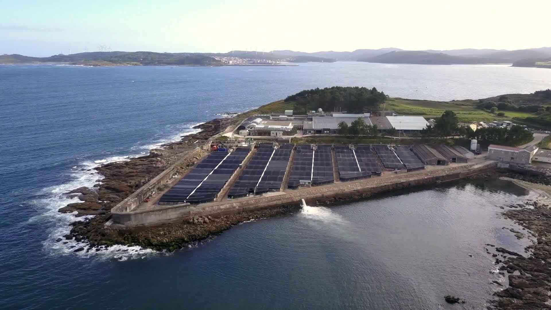 "Vista aérea de la granja acuícola de Stolt Sea Farm, ubicada en una costa rocosa. Se aprecian numerosas piscinas rectangulares para el cultivo de peces, junto a las instalaciones de la planta y el mar."