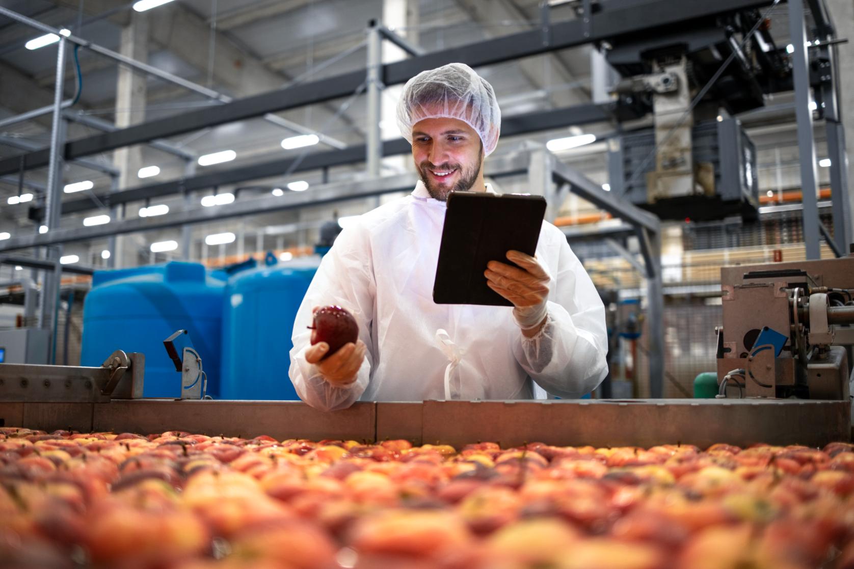 Inspector de calidad en industria alimentaria revisando frutas en línea de producción con tablet